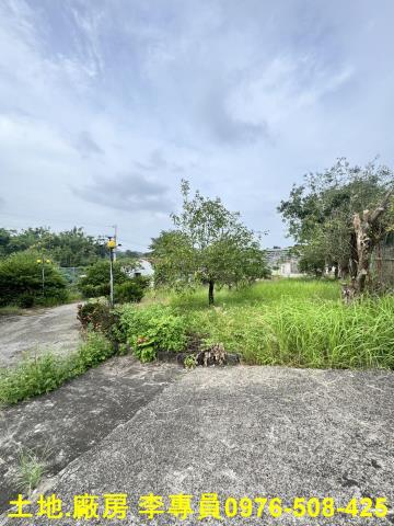 高雄仁武都內農地-6