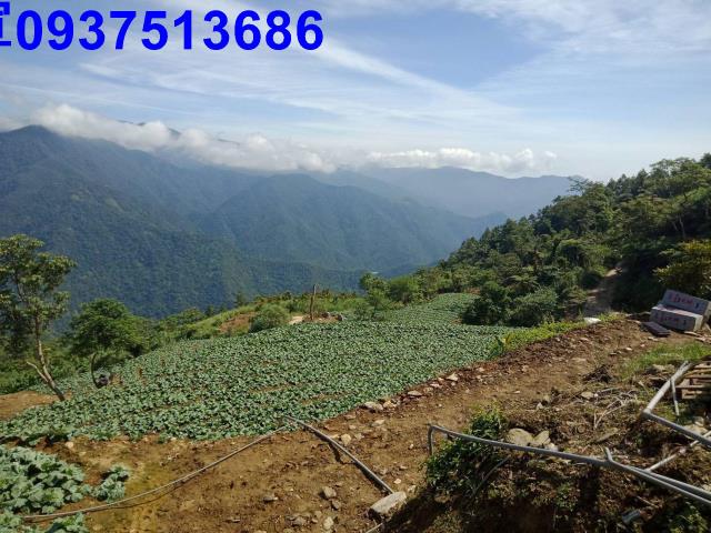 宜蘭南澳山坡地-2
