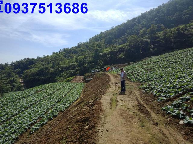 宜蘭南澳山坡地-7
