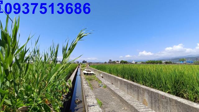 宜蘭礁溪農地-15