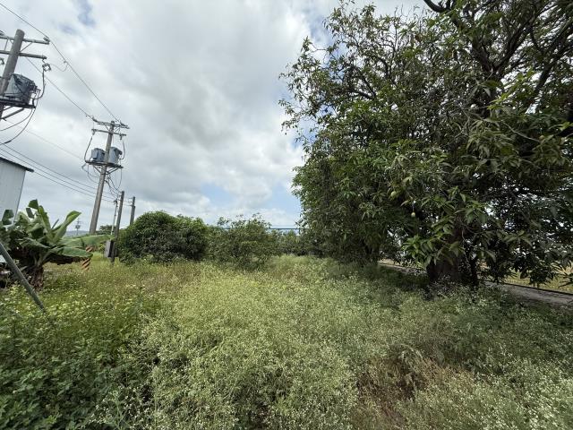 高雄岡山農地-9