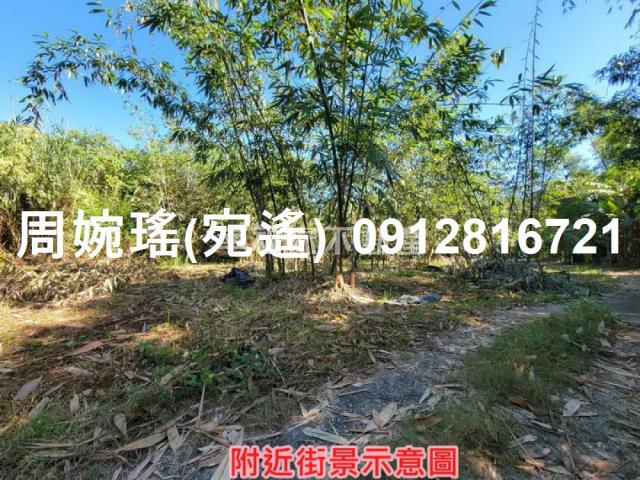 左鎮農地-4