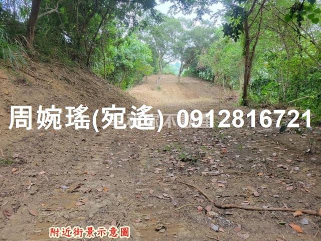 左鎮農地-13
