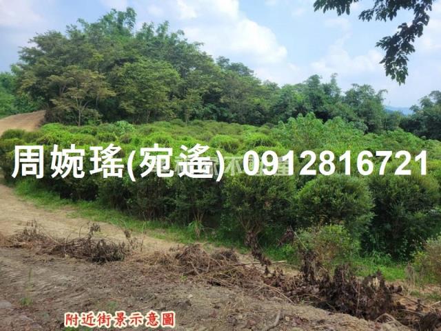 左鎮農地-15
