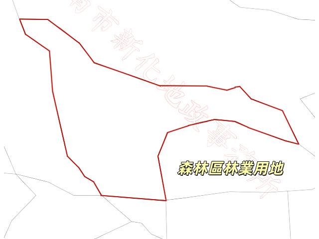 新化林地-13