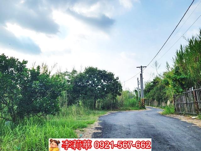 新化林地-2