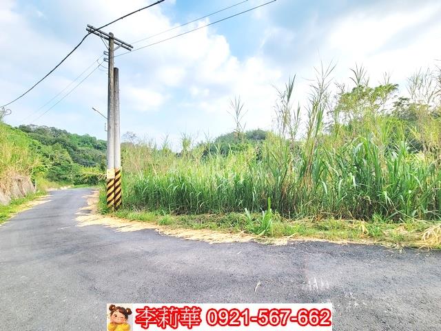 新化林地-3