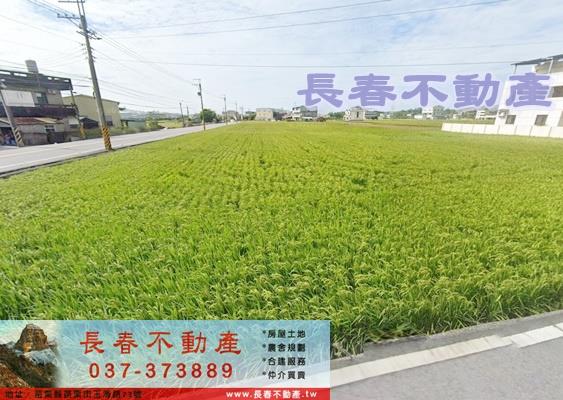 頭屋農地-1