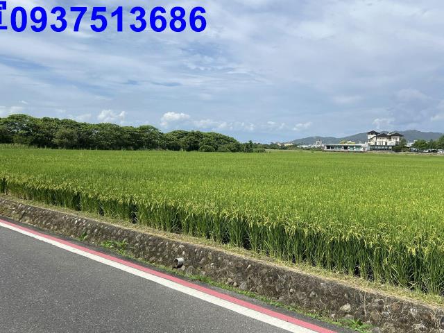 宜蘭礁溪農地-12