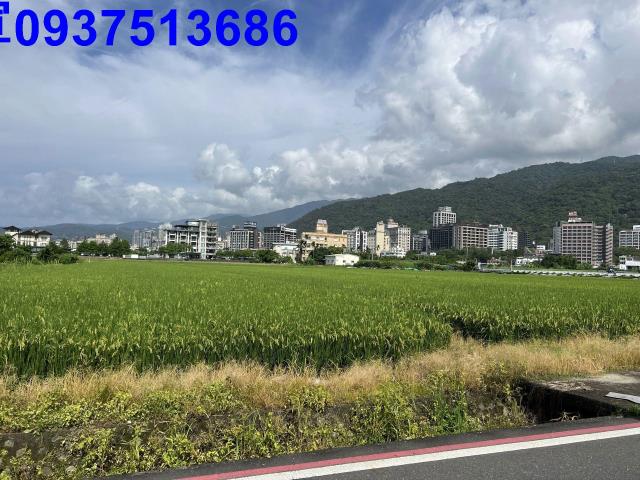 宜蘭礁溪農地-2