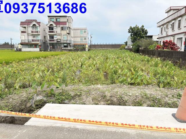 宜蘭壯圍農地-6