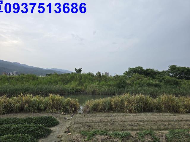 宜蘭頭城農地-3