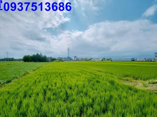 宜蘭宜蘭市農地-10