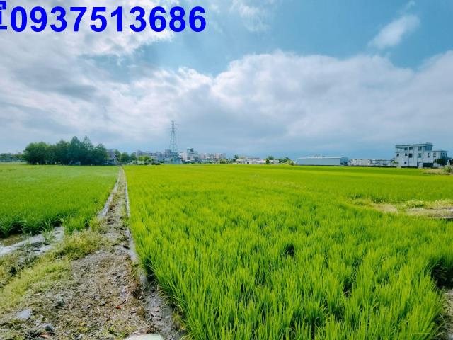 宜蘭宜蘭市農地-15