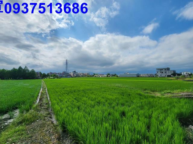 宜蘭宜蘭市農地-8