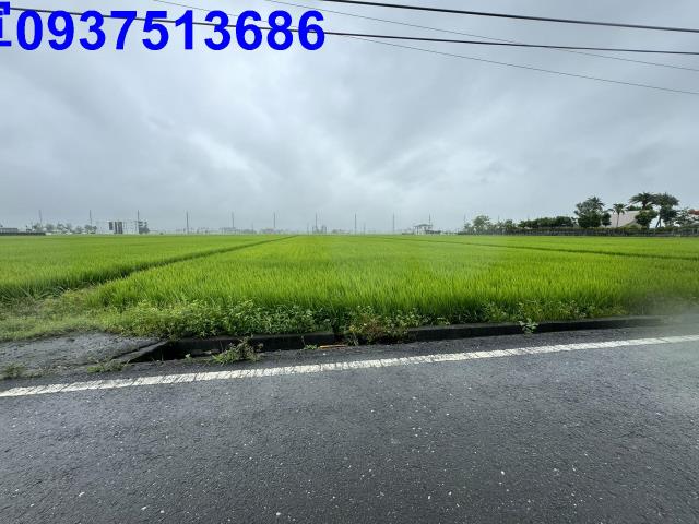 宜蘭壯圍農地-3