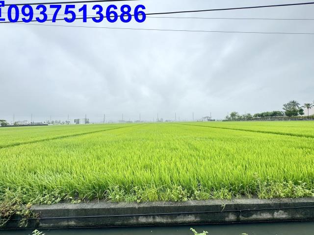 宜蘭壯圍農地-5