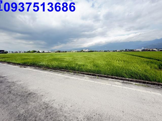 宜蘭礁溪農地-5