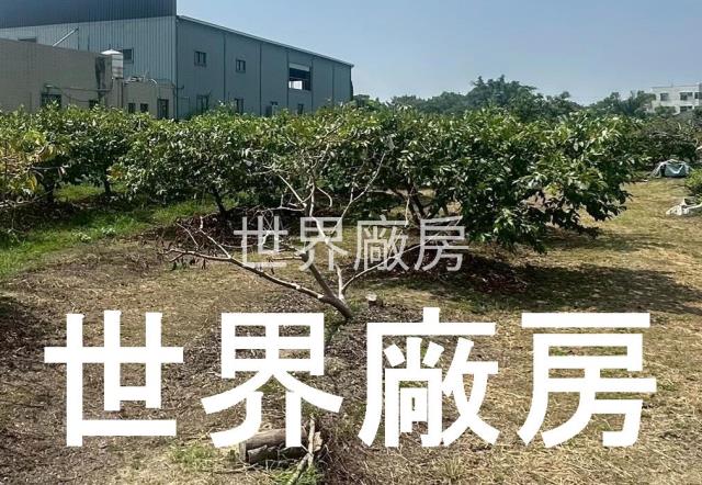 嘉義水上農地-1