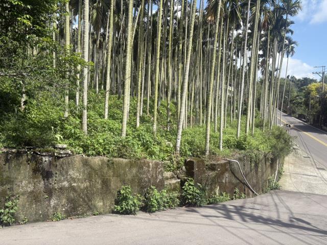 新社山坡地-1