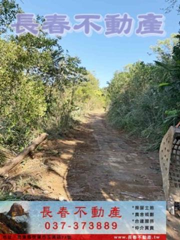 苗栗市農地-5
