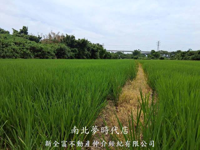 北投農地-5