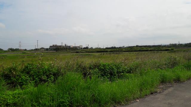 桃園農地-2