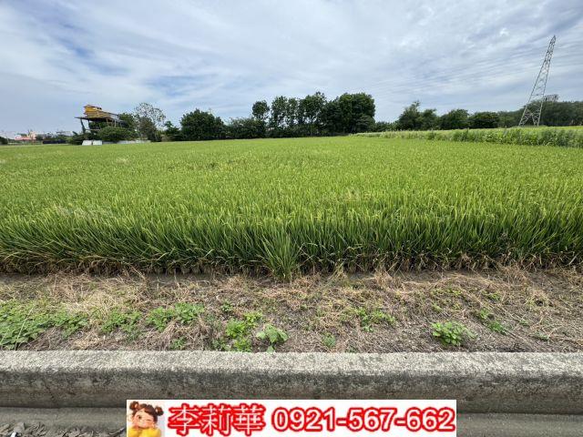 台南農地-6