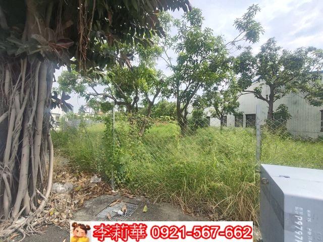 台南建地-6