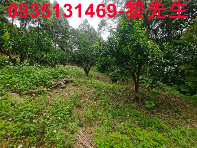 新竹北埔農地-2