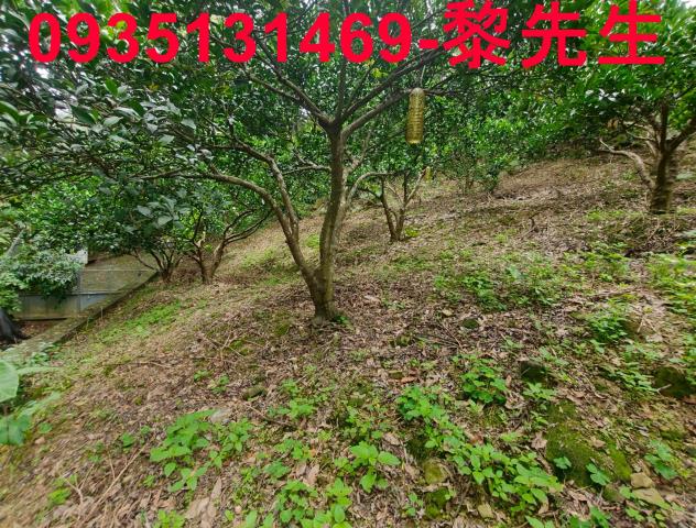 新竹北埔農地-6