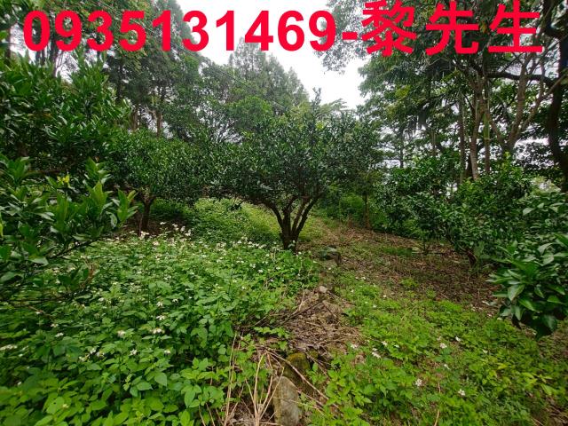 新竹北埔農地-9