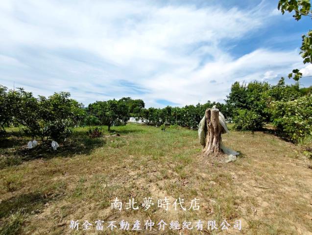台南玉井農地-12