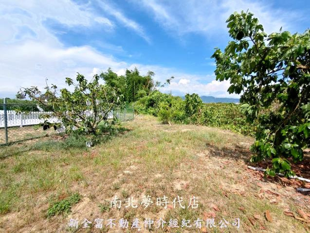 台南玉井農地-14