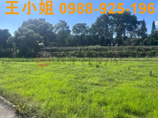 桃園中壢農地-7