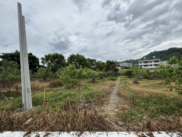 台中東勢農地-4