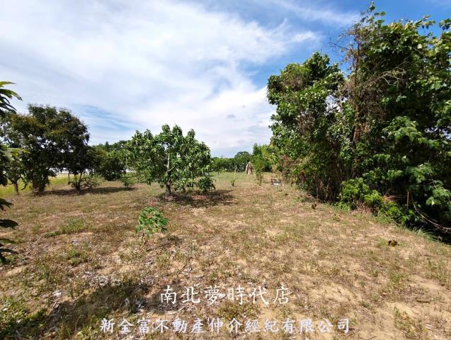 玉井農地-10