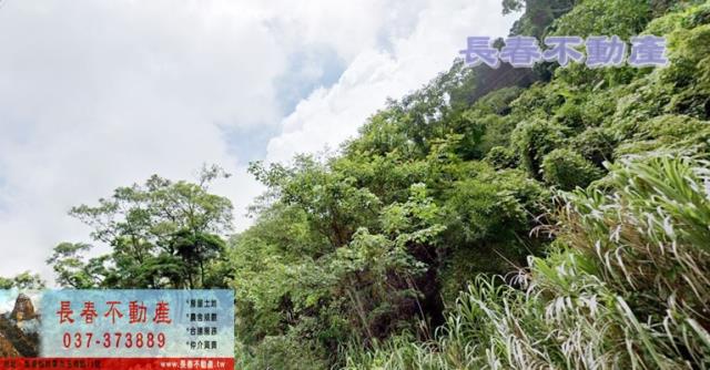 泰安山坡地-4