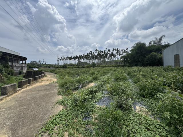 名間農地-4