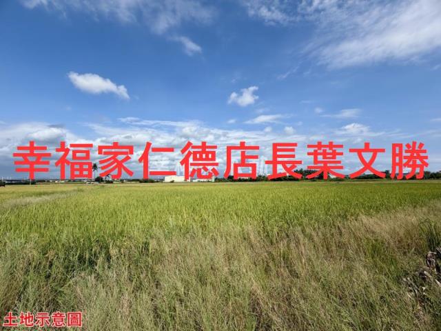 仁德農地-2