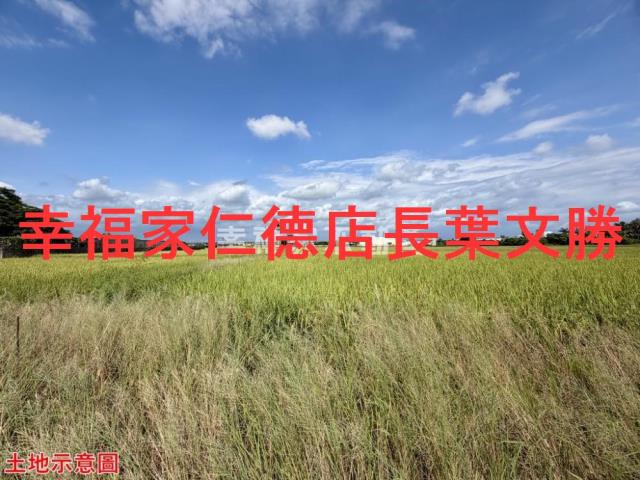仁德農地-3