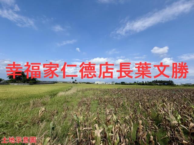 仁德農地-4