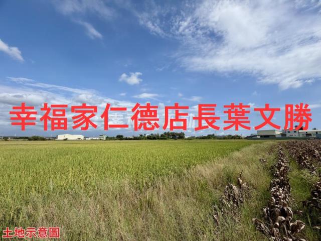 仁德農地-7
