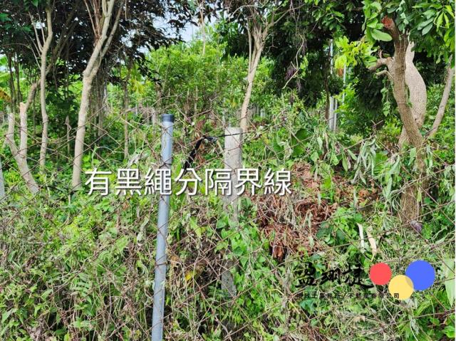 屏東農地-4