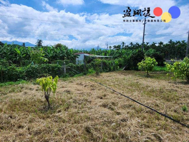 屏東農地-8