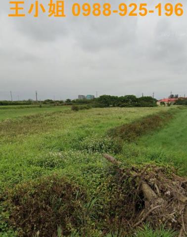 桃園觀音農地-1