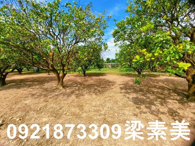 台南佳里農地-10