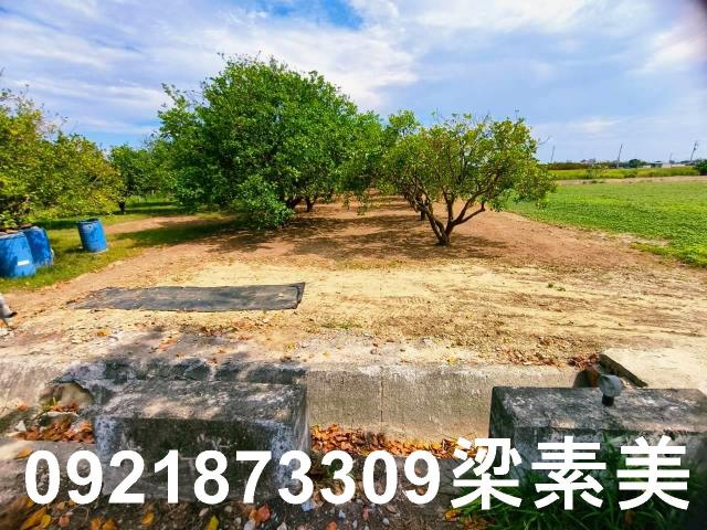 台南佳里農地-11