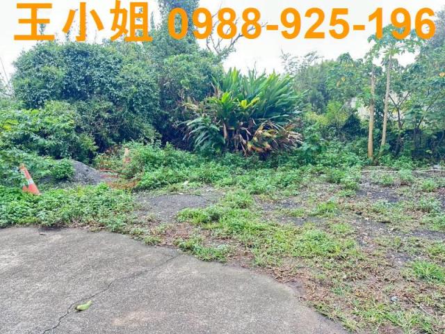 桃園中壢建地-8