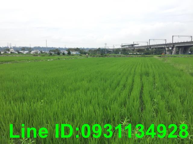 台中后里農地-2